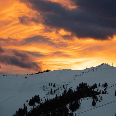 Les Saisies Appart 1 Chambre Au Pied Des Pistes 외부 사진