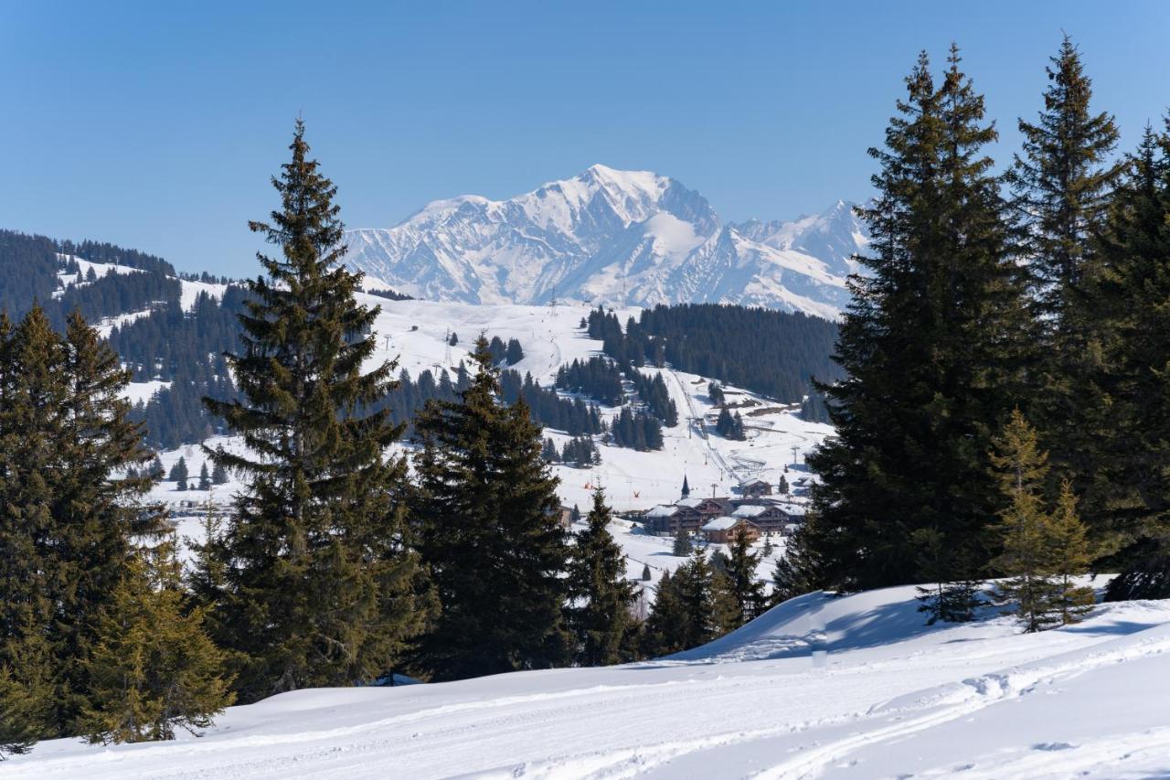 Les Saisies Appart 1 Chambre Au Pied Des Pistes 외부 사진