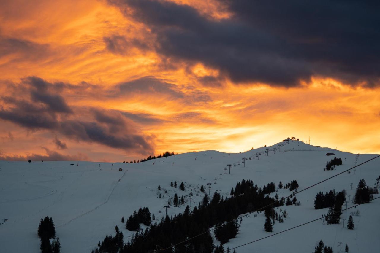 Les Saisies Appart 1 Chambre Au Pied Des Pistes 외부 사진