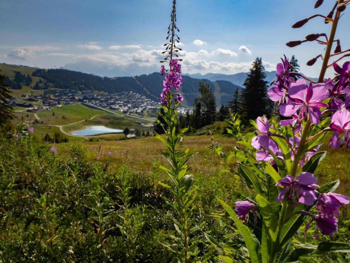 Les Saisies Appart 1 Chambre Au Pied Des Pistes 외부 사진