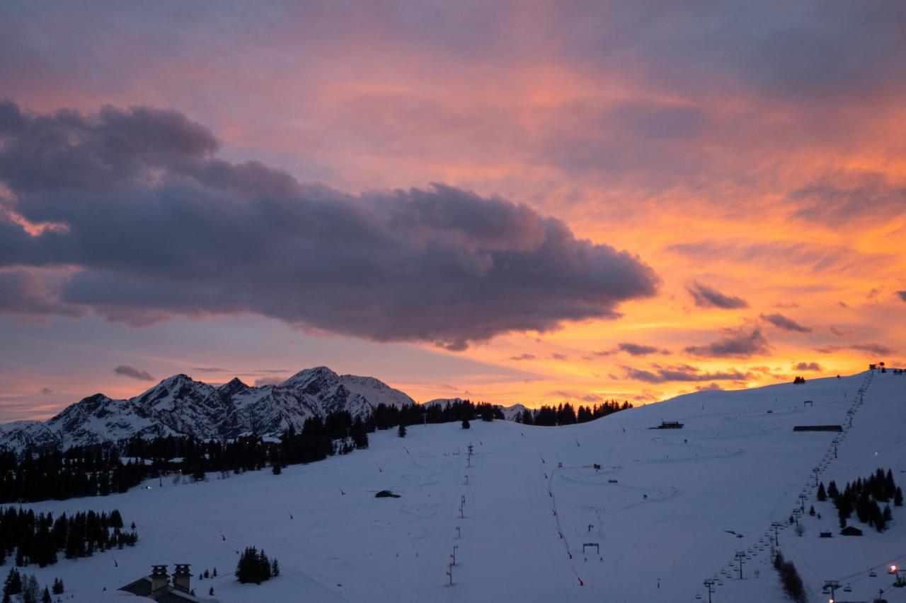 Les Saisies Appart 1 Chambre Au Pied Des Pistes 외부 사진